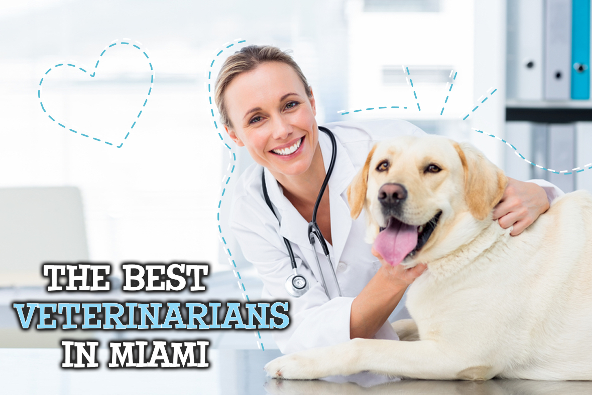 Miami Veterinarians
