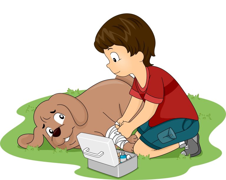 Cartoon of a little boy applying first aid on his brown dog.